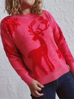 Women's Ugly Christmas Sweater Pullover Sweater Jumper Crew Neck Ribbed Knit Polyester Patchwork Fall Winter Regular Xmas Daily Going Out Stylish Casual Soft Long Sleeve Elk Pink Red Green S M L 32 Women's Ugly Christmas Sweater Pullover Sweater Jumper Crew Neck Ribbed Knit Polyester Patchwork Fall Winter Regular Xmas Daily Going Out Stylish Casual Soft Long Sleeve Elk Pink Red Green S M L -Xmas Cothing Store dueaui1695029162959