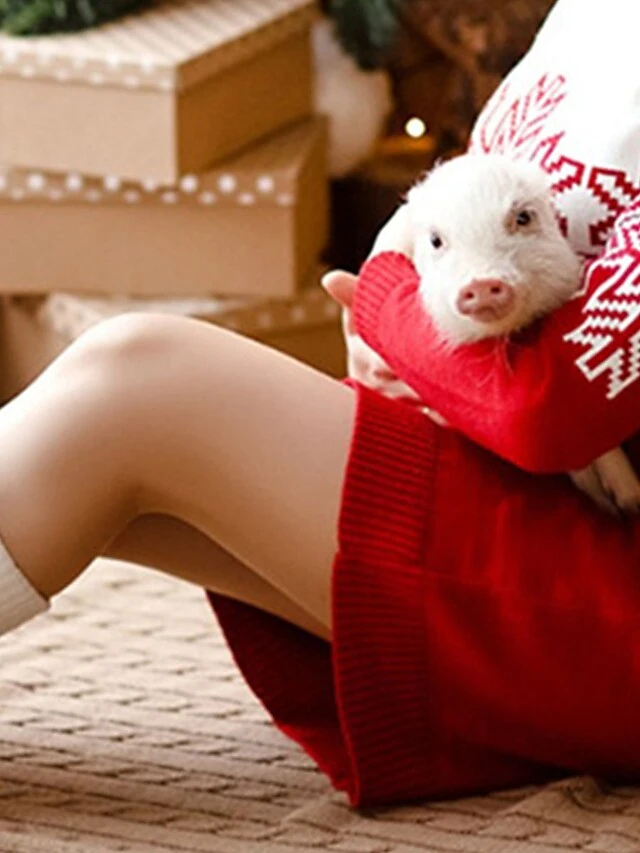 Women's Sweater Dress Turtleneck Ribbed Knit Polyester Oversized Fall Winter Long Christmas Daily Going Out Xmas Stylish Casual Soft Long Sleeve Snowflake Women's Model S M L 5 Women's Sweater Dress Turtleneck Ribbed Knit Polyester Oversized Fall Winter Long Christmas Daily Going Out Xmas Stylish Casual Soft Long Sleeve Snowflake Women's Model S M L - Image 3