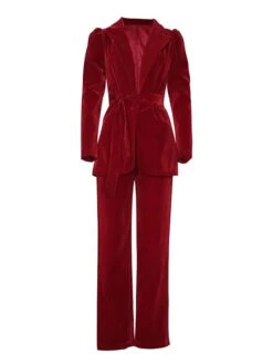 Women's Blazer Suits Velvet Christmas 2 Piece Blazer & Pants Party Wear Office Work Xmas Casual Jakcet Single Breasted Coat With Belt Fashion Street Wear -Xmas Cothing Store ineuxi1690534884393