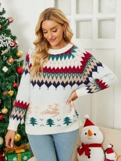 Women's Pullover Sweater Jumper Crew Neck Crochet Knit Acrylic Polyester Embroidery Spring Fall Winter Christmas Daily Holiday Stylish Casual Long Sleeve Snowman Xmas Tree Snowflake Red Blue -Xmas Cothing Store jwvzgt1667818435713