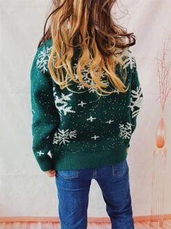 Women's Christmas Sweaters Pullover Sweater Jumper Crew Neck Chunky Knit Polyester Embroidery Spring Fall Winter Regular Christmas Daily New Year Fashion Daily Vintage Style Long Sleeve Snowflake -Xmas Cothing Store mrcscj1697539836052