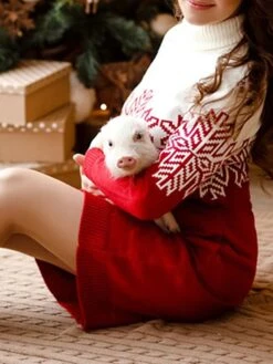 Women's Sweater Dress Turtleneck Ribbed Knit Polyester Oversized Fall Winter Long Christmas Daily Going Out Xmas Stylish Casual Soft Long Sleeve Snowflake Women's Model S M L