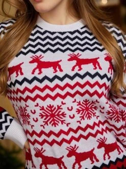 Women's Ugly Christmas Sweater Pullover Sweater Jumper Crew Neck Ribbed Knit Polyester Patchwork Fall Winter Regular Outdoor Xmas Daily Stylish Casual Soft Long Sleeve Elk Striped Snowflake -Xmas Cothing Store zthchv1695115504354